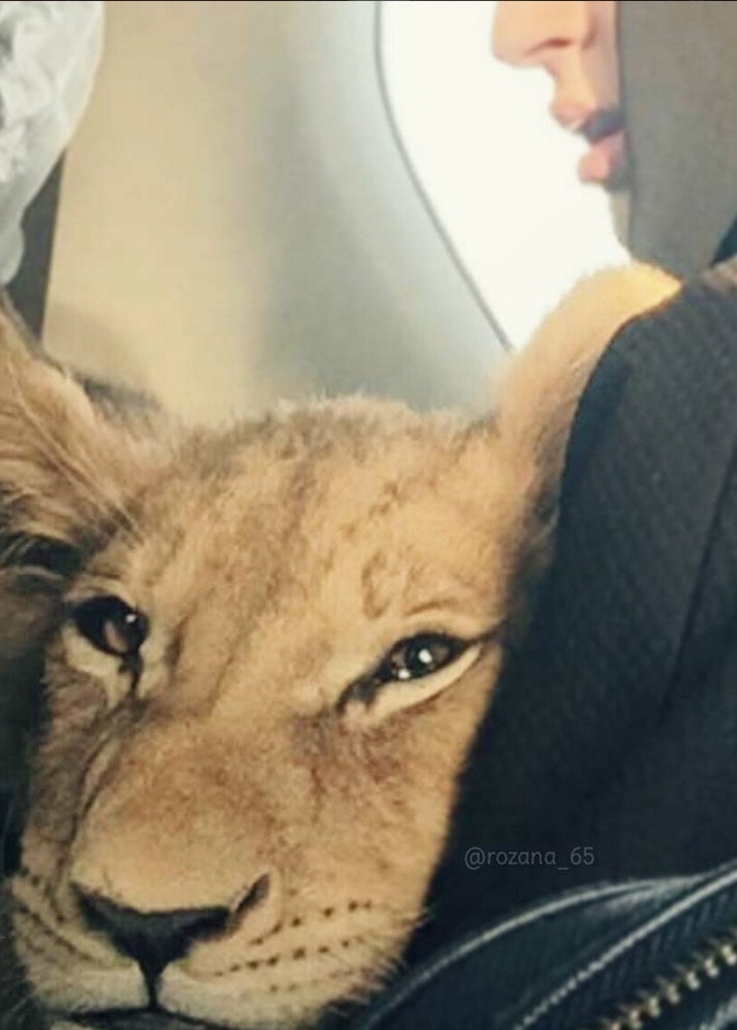 روزانا  تحتضن احدى حيواناتها 