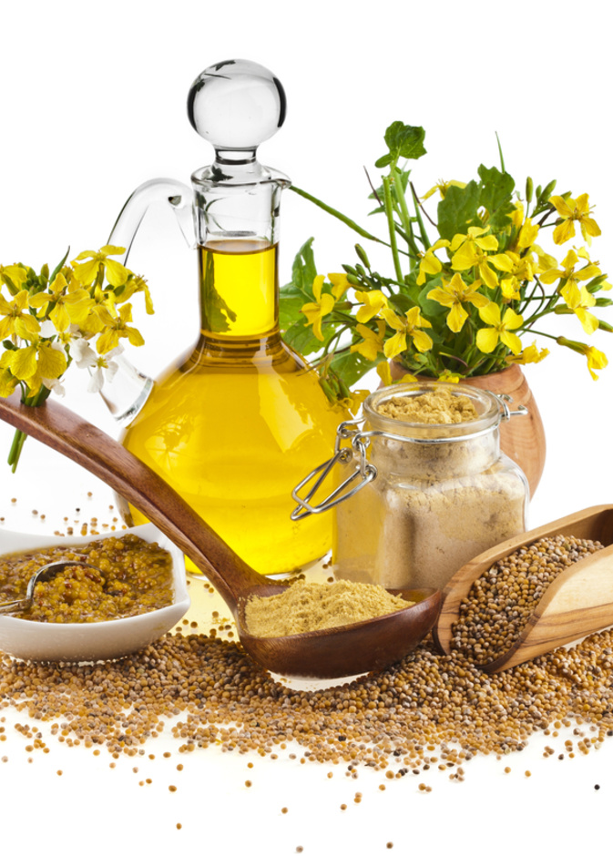 زيت الخردل الافضل لبشرتك 