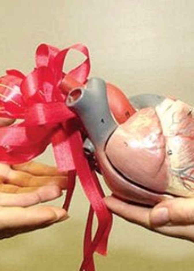 سعودية تتبرع بكليتها لابن ضرتها