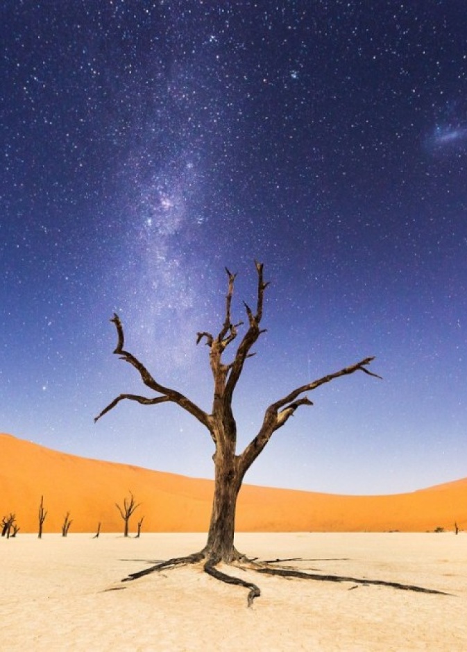 Beth McCarley سماء Deadvlei في نامبيا للمصور 