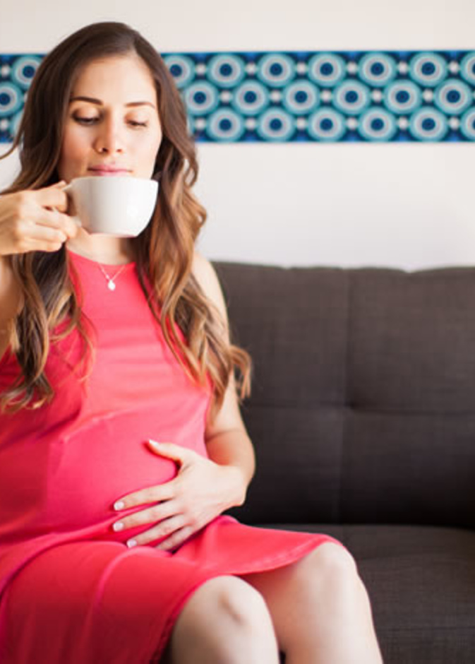 شرب ورق الجوافة للحامل