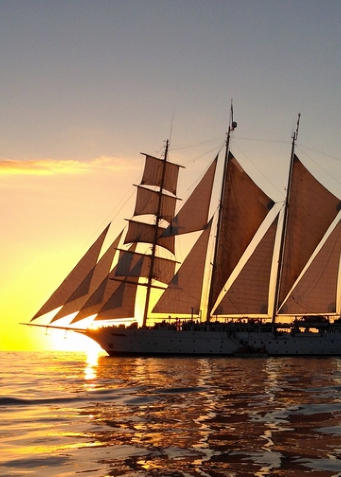 شركة  Y.CO – شركة اليخوت