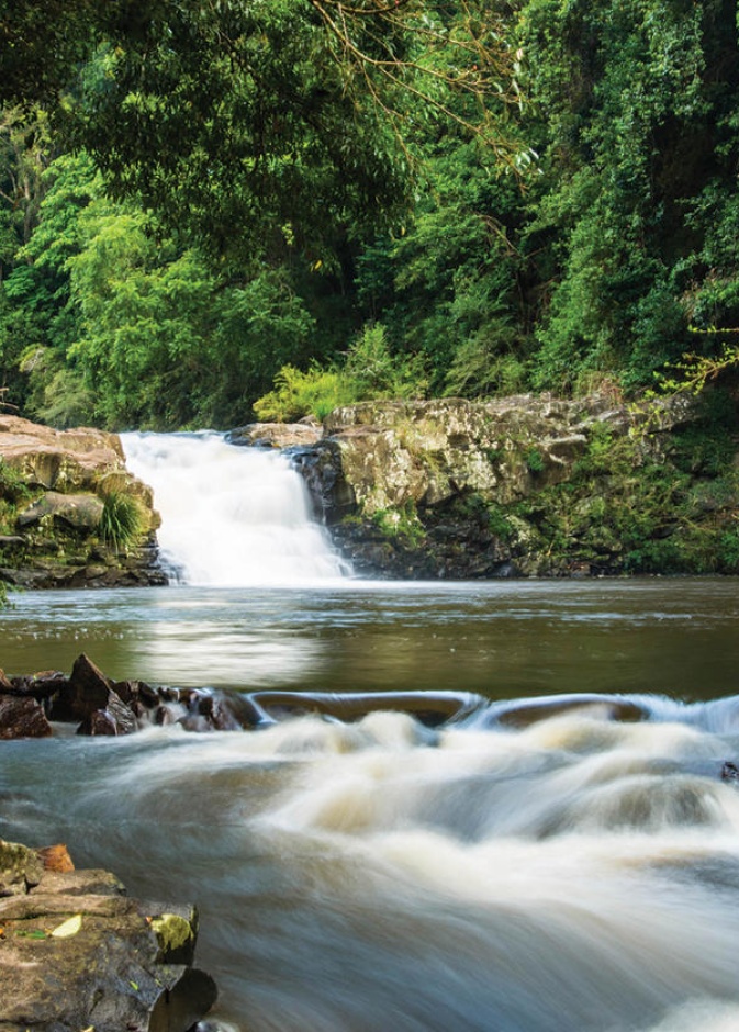 صالة فيلا الغرفة الواحدة في سبايسرز تاماريند