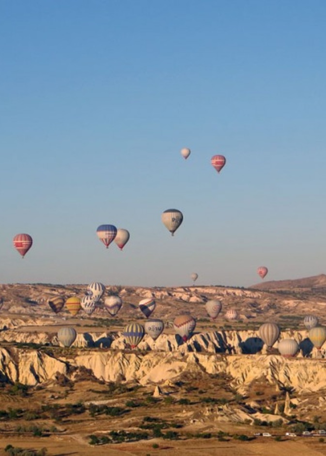  غوريمي بمناطيدها