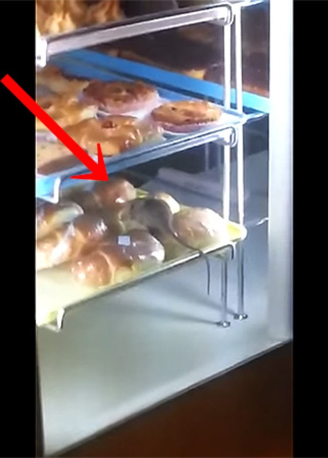 بالفيديو: فأر يأكل من دونات في متجر شهير في جدة