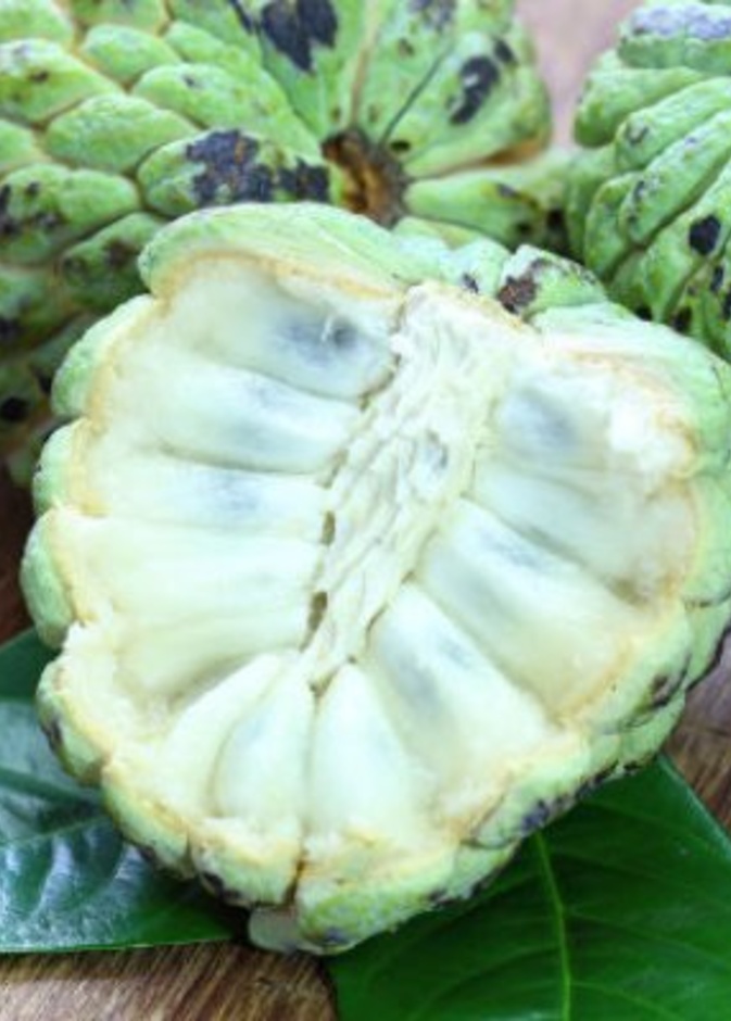 فوائد فاكهة القشطة مذهلة 