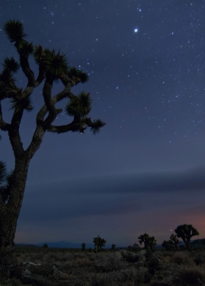 بالصور: النّجوم كما لم تروها من قبل في هذه الوجهات!