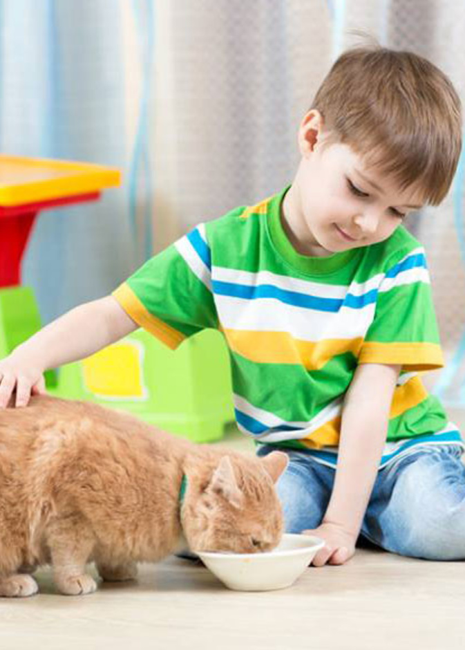 للأم.. أسباب خطيرة تمنعك من تربية القطط في المنزل