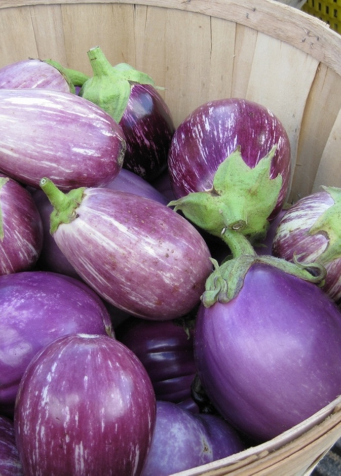 للباذنجان قدرة خارقة على امتصاص الدهون من الجسم