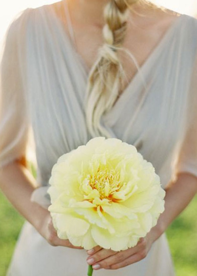 للعروس البسيطة والجريئة بوكيه بزهرة واحدة فريدة ومميزة