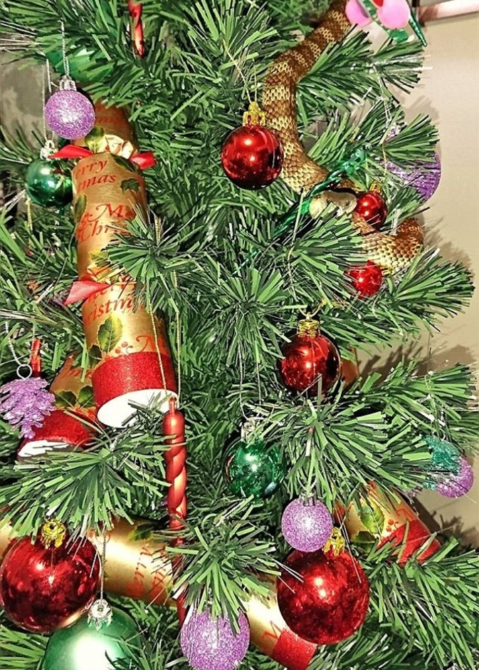 لن تصدقوا ماذا وجدت هذه العائلة في شجرة الميلاد!