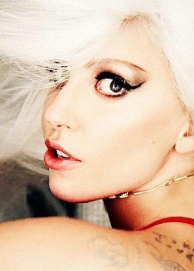 ليدي غاغا تطلق مجموعة من الاكسسوار الخاص بالحيوانات الأليفة