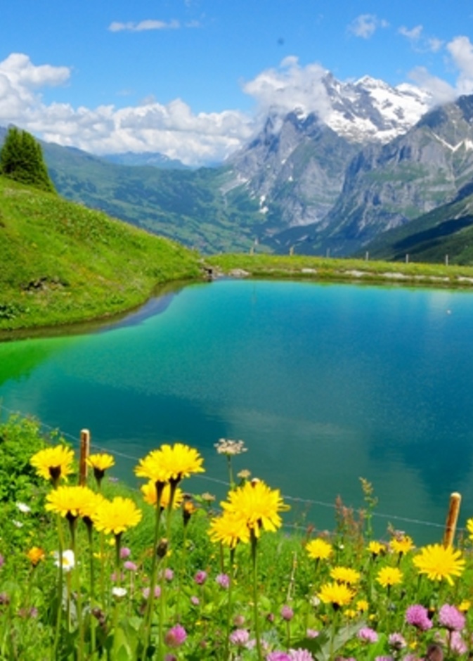 عطلة وسط الطبيعة الخلابة بسويسرا