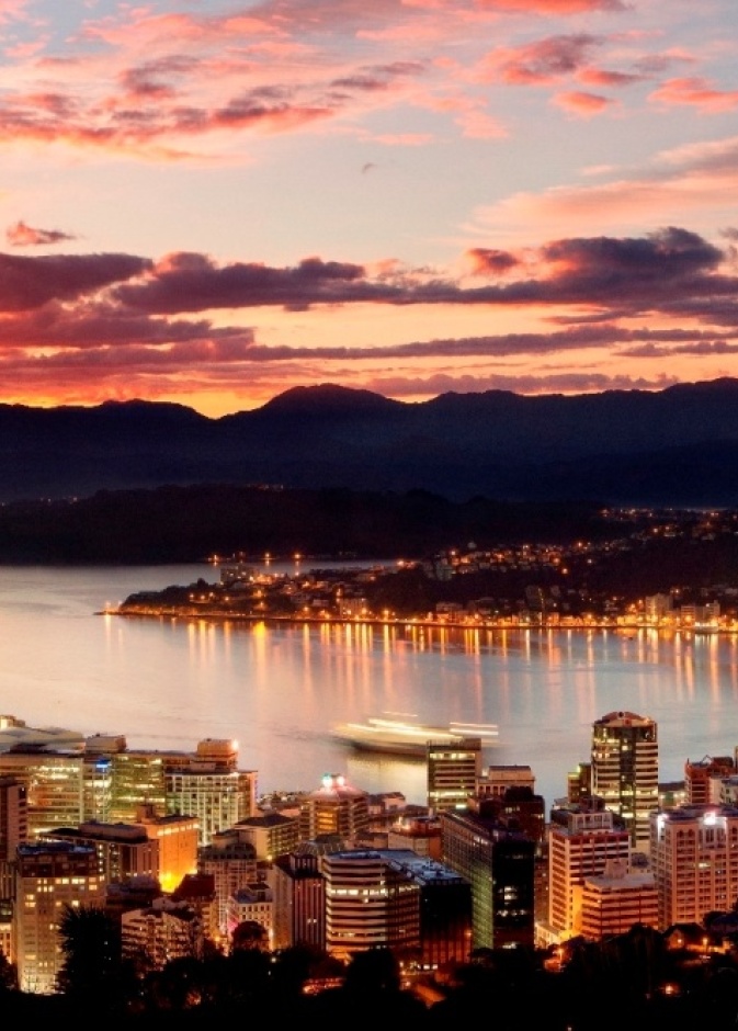 مشهد من العاصمة ويلينغتون