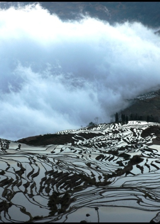 مصاطب الأرز في يوانيانغ