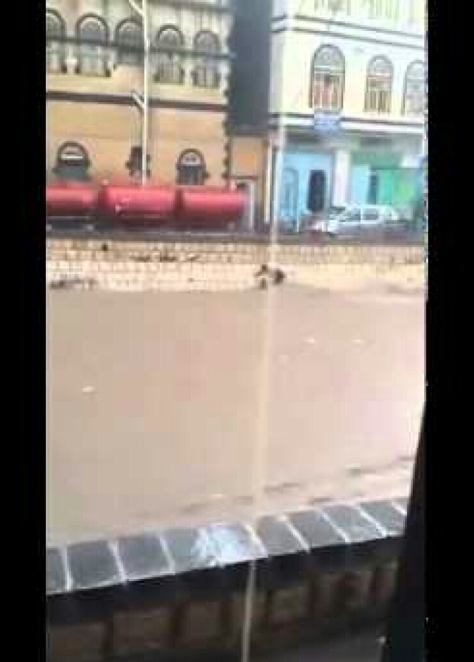 مقطع من الفيديو