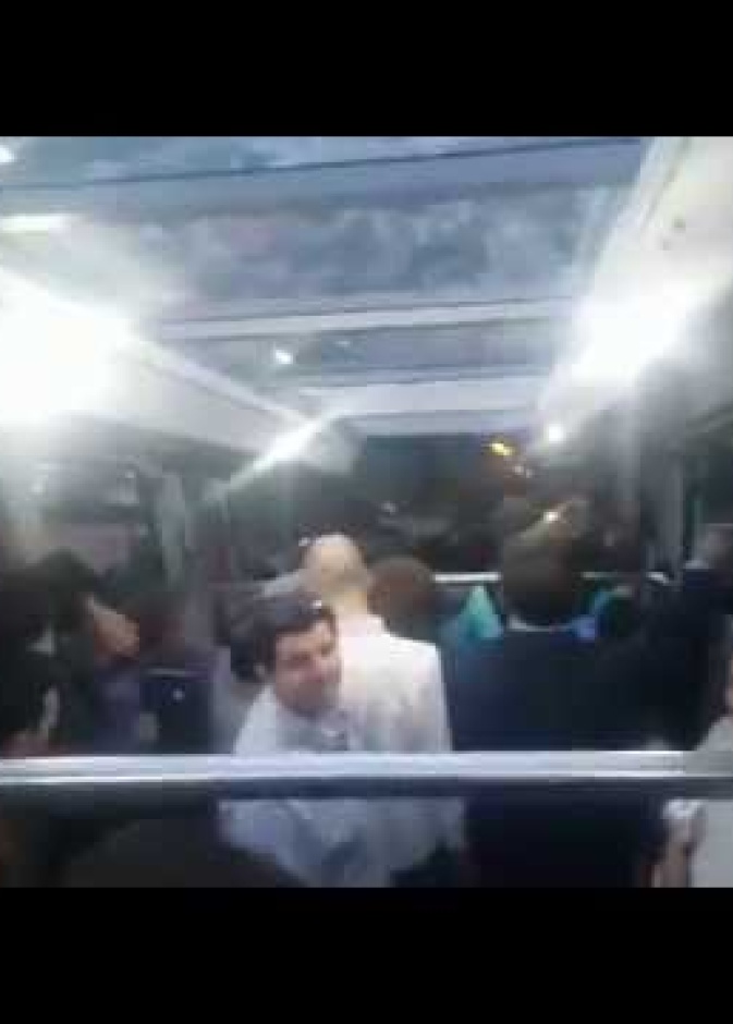 بالفيديو: سعودي يدرب ركاب قطار أوروبي على رعي الإبل