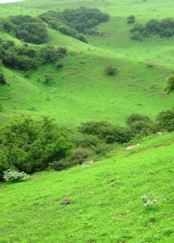  من المنطقة