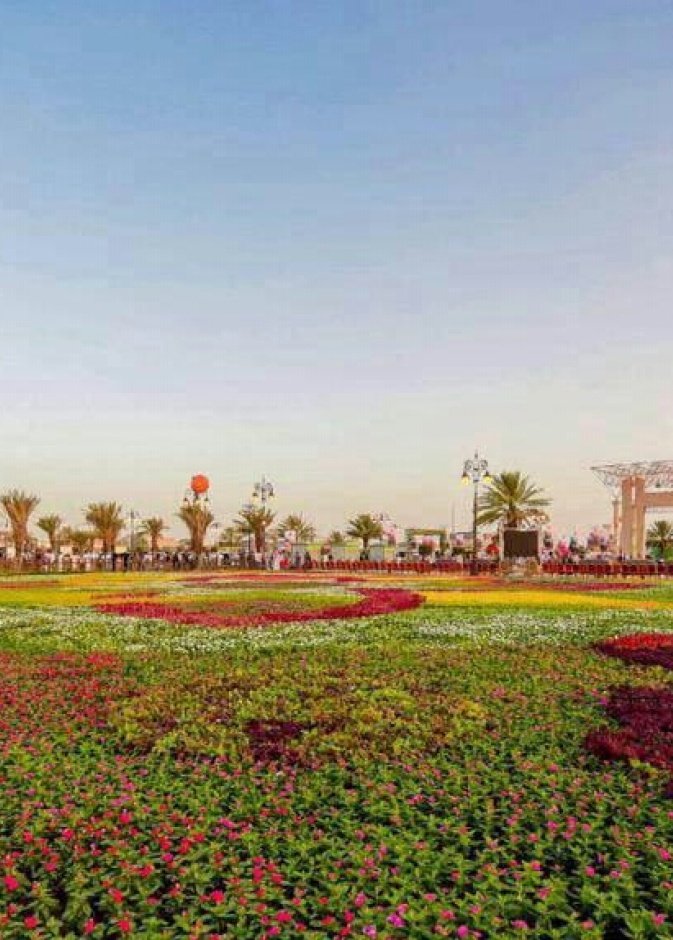 من المهرجان