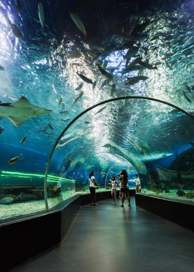  من عجائب الفيلبين