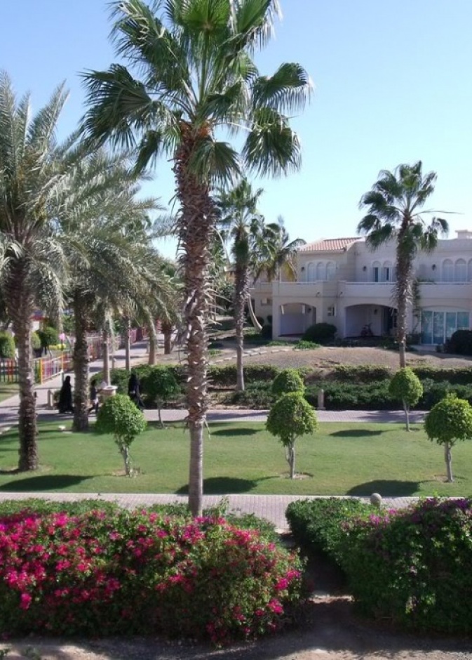 منظر من قرية النخيل