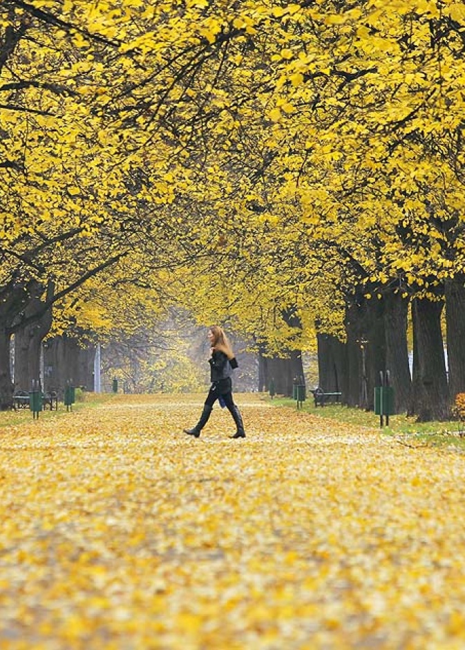 موسكو بحلة الخريف