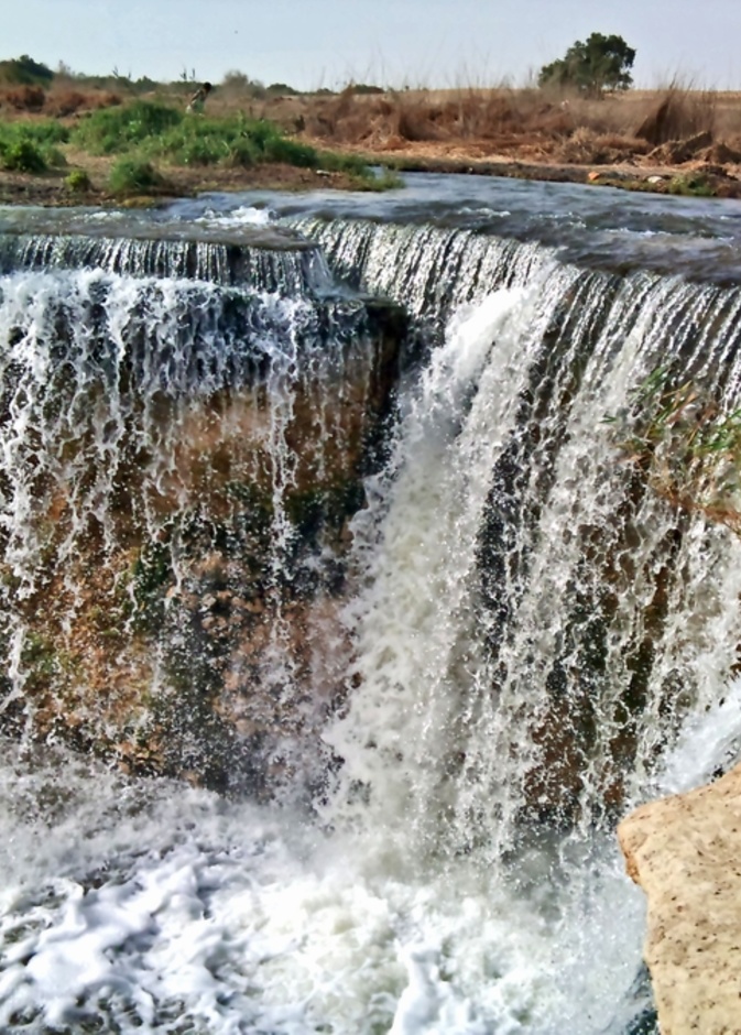 وداي الريان