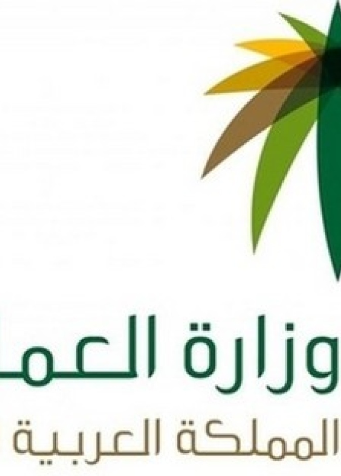 وزارة العمل