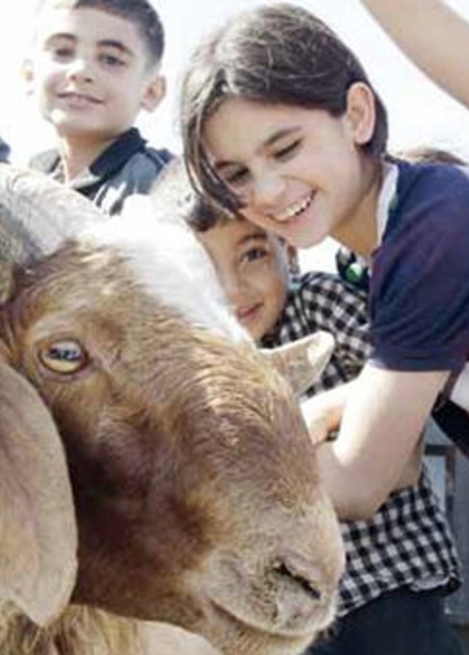 الطفل والأضحية 