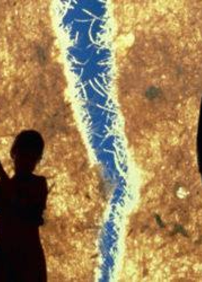 في الإمارات: الداخلية تحارب الدعاوى الكيدية بين المطلقين