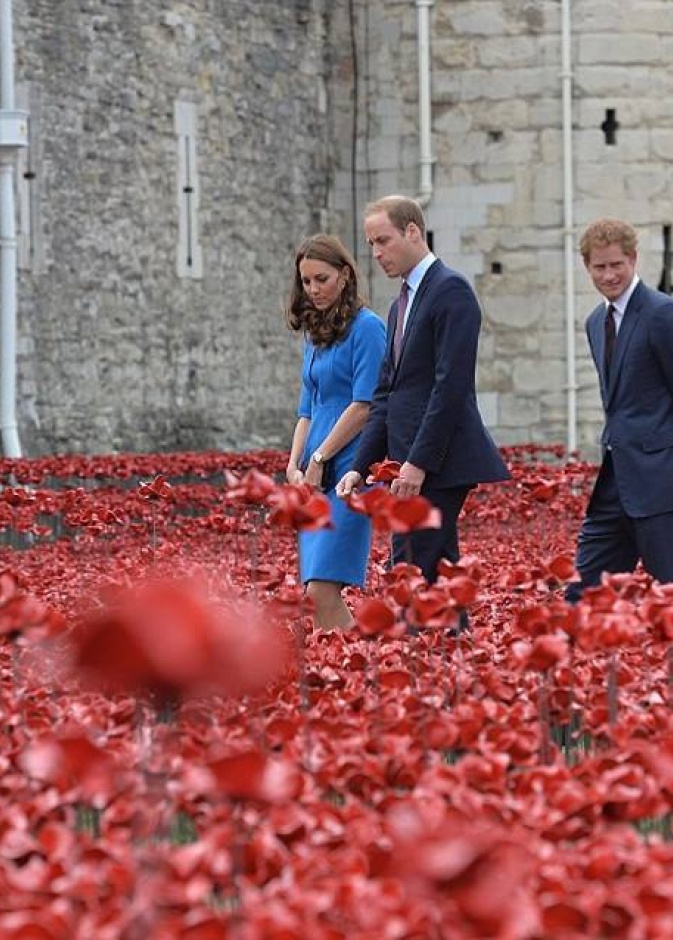 وليم، هاري وكيت في وسط الـ888,246 وردة من السراميك والتي غرست في تاور أو لندن تكرماً لضحايا الإمبراطورية البريطانية في الحرب العالمية الأولى