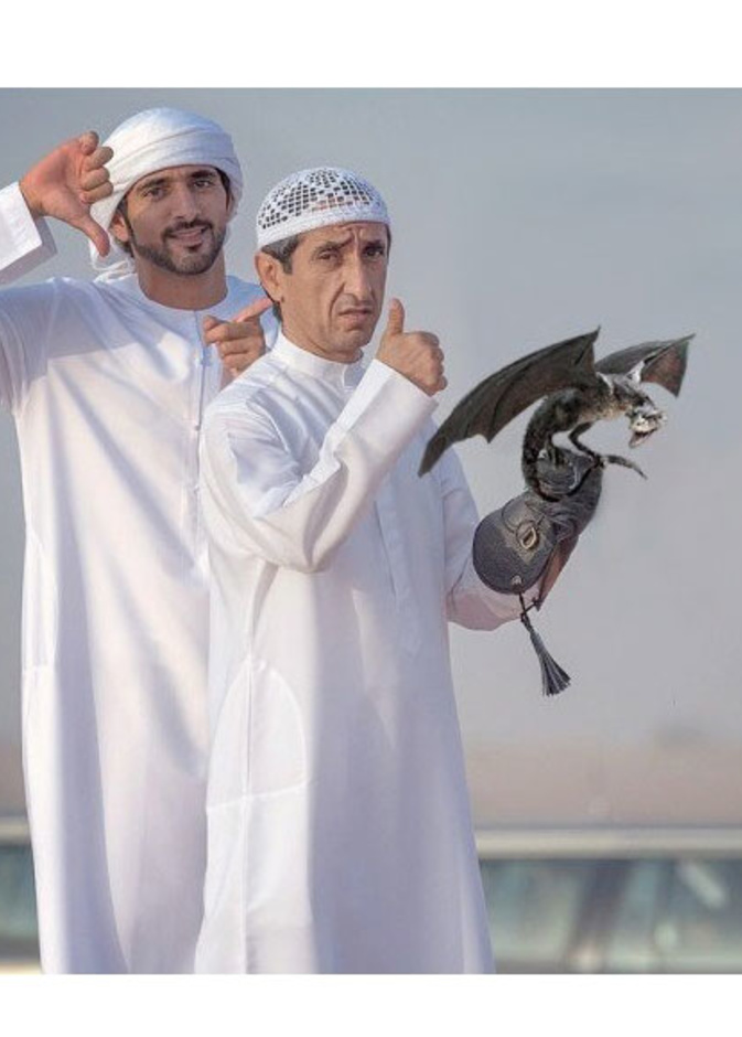 ما نوع الحيوان الأليف الجديد لولي عهد دبي؟