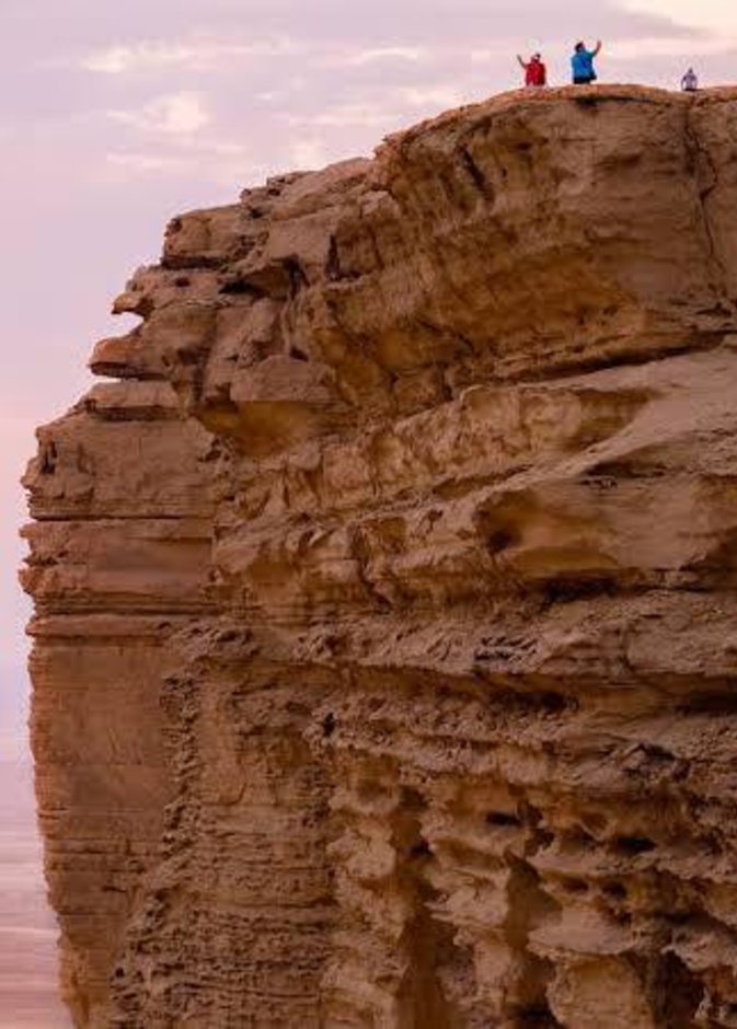 تمثل النباتات لمسة الترحيب المثالية في مدخل المنزل