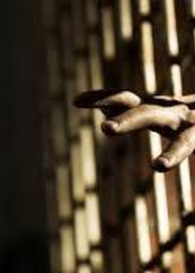 القبض على شخص من آكلي لحوم بشر