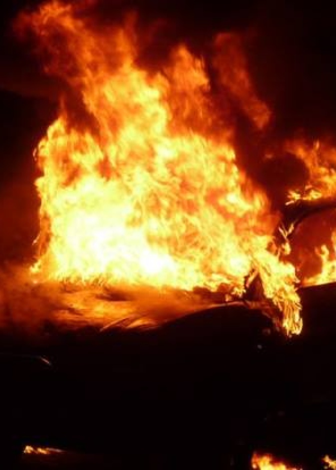 في الإمارات.. تكريم ضابط أنقذ حياة 10 أفراد من أسرة واحدة