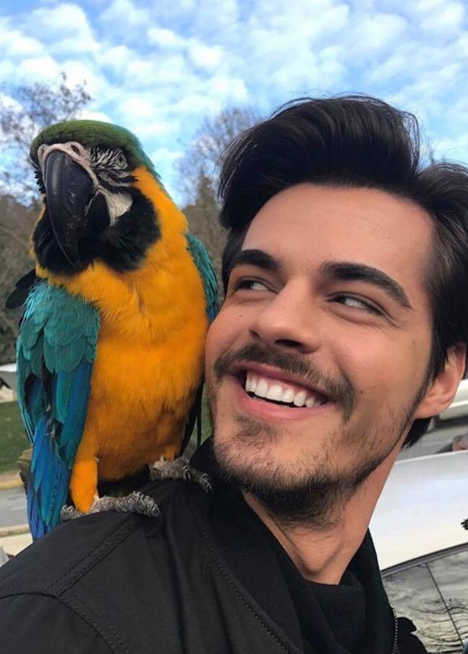 صورة ظريفة لبطل مسلسل بنات الشمس بريك أتان مع البغبغاء