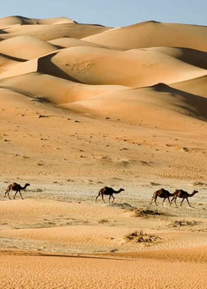 مشاريع جديدة تعزز مكانة دبي السياحية 