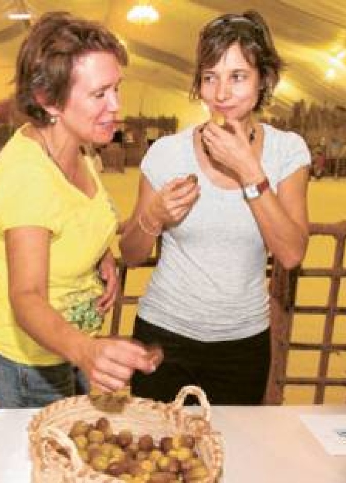 مهرجان البلح الأكبر في العالم  