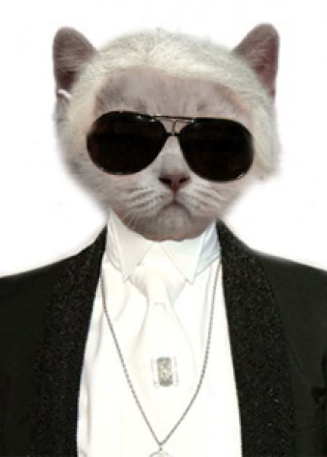 قطة لاغرفيلد تدمن الآيباد