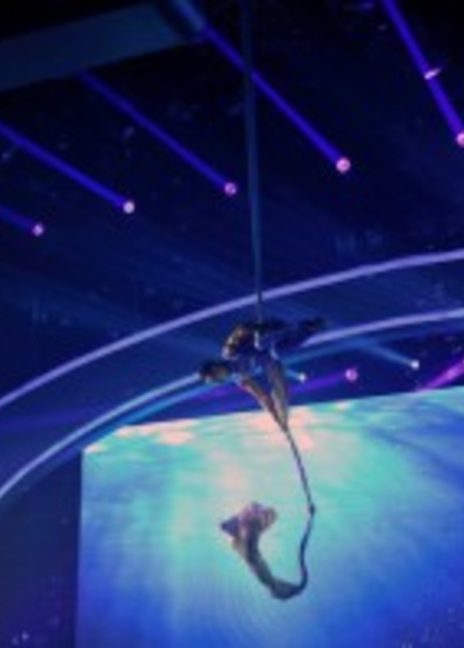 تحديات رضوان  في  Arabs Got Talent  