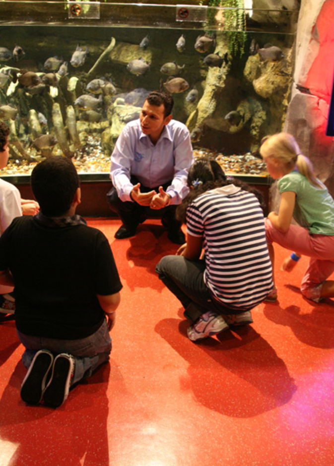 مفاجآت مخيم دبي مول الصيفي