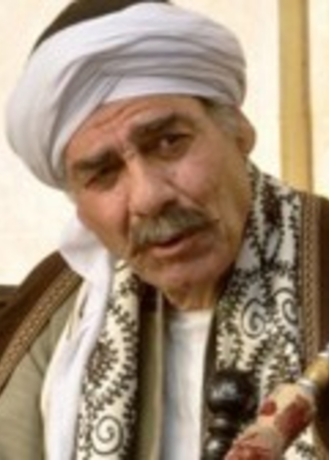 أحمد سليم ضيف شرف