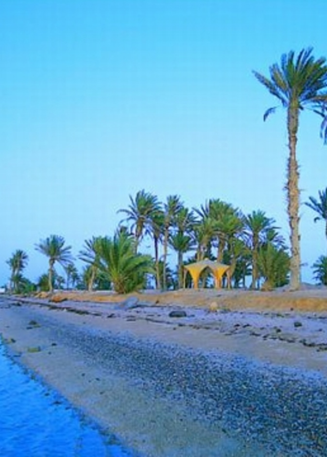 مدينة أملج والطبيعة الخلابة