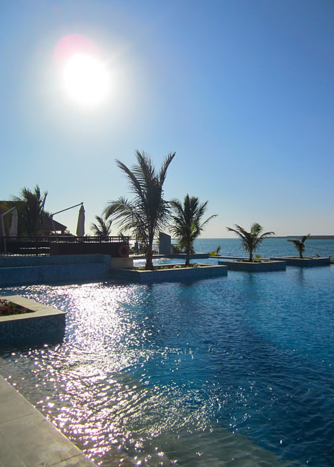 ينبع مرجانة البحر الأحمر