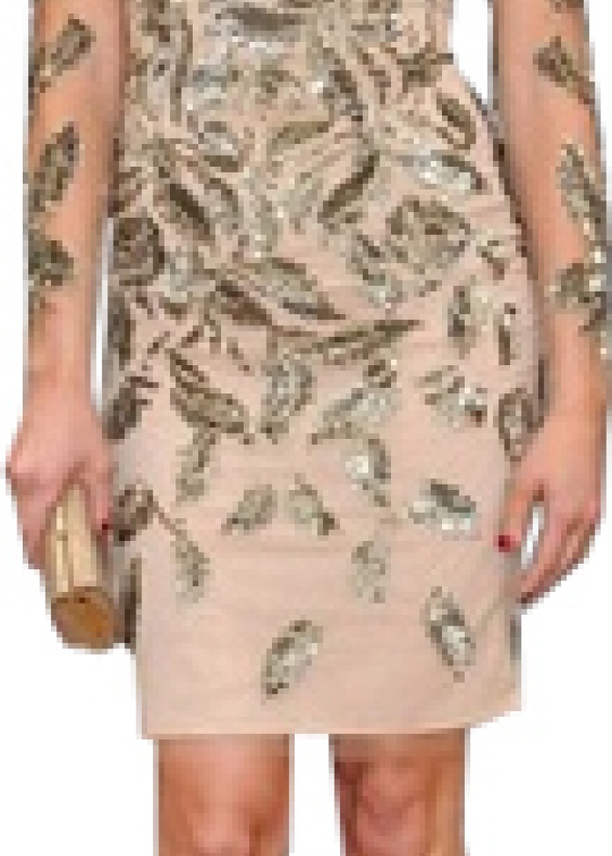 مشاهير بفستانين مطرزة 