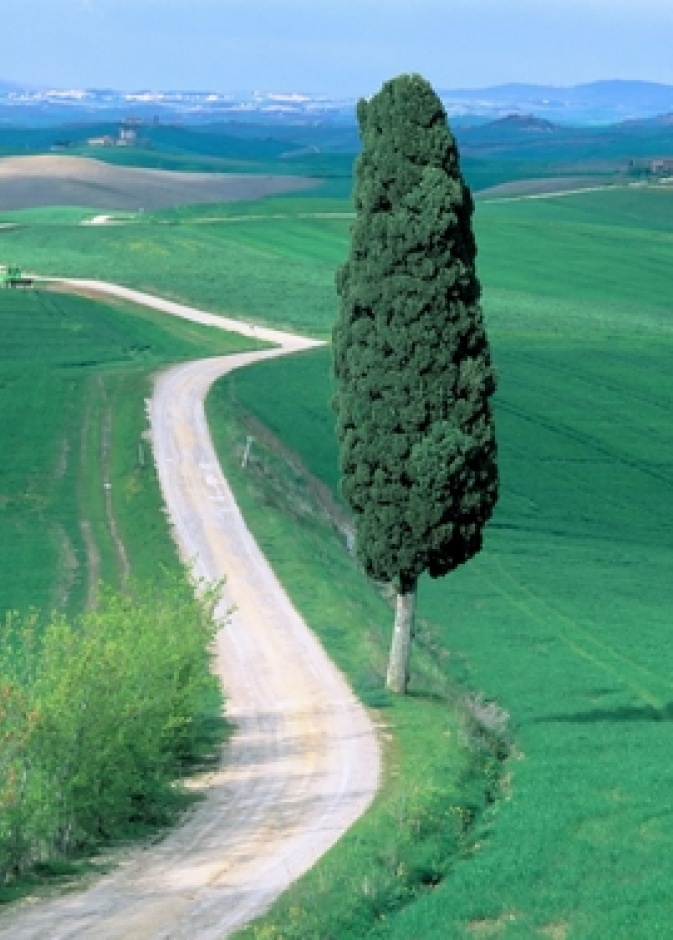 توسكانا.. روح السياحة الإيطالية