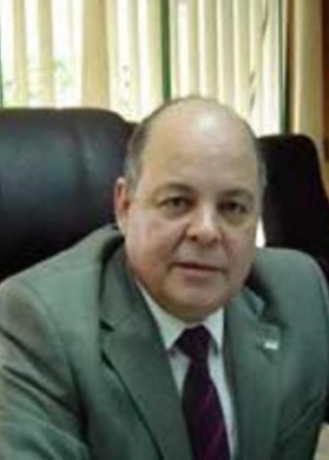 كوكبة من النجوم في مهرجان القلعة الموسيقي