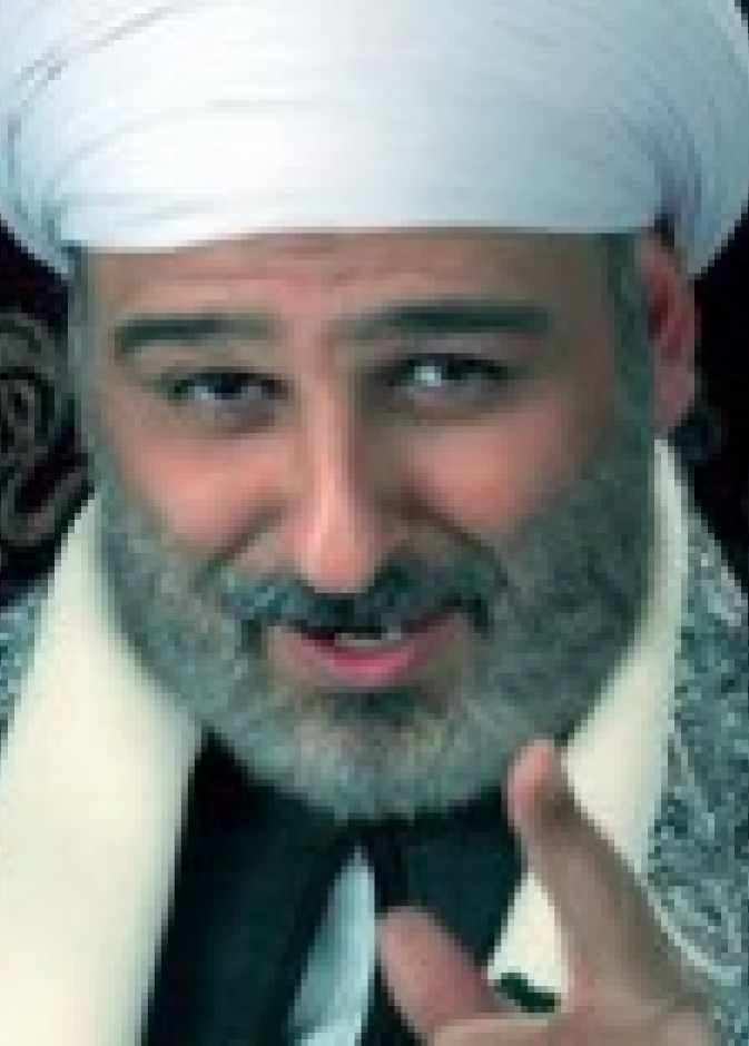 جمال سليمان يجوع ضياء الميرغنى   