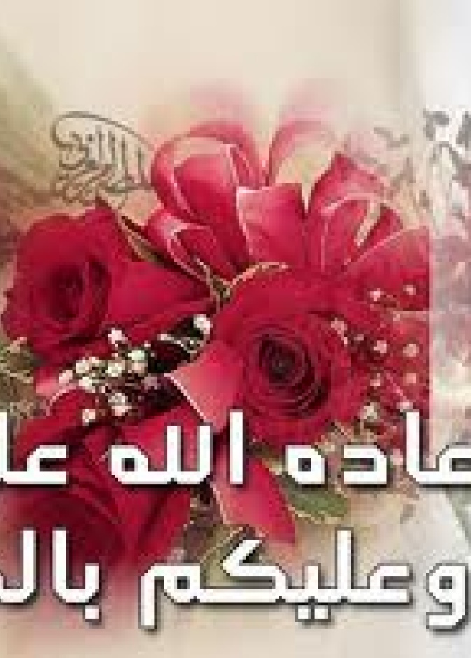  ماذا نكتب على بطاقة المعايدة ؟ 