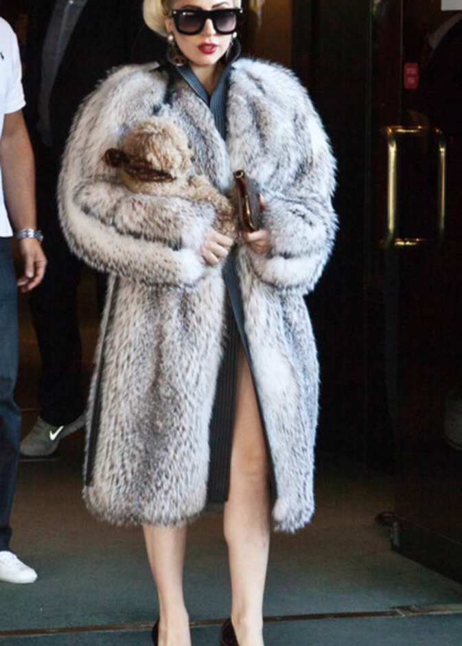 أغرب ست إطلالات